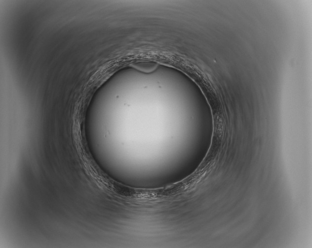 X0000115831489200911201454