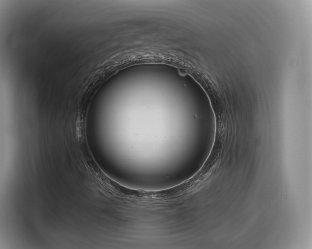 X0000115831490200911201454