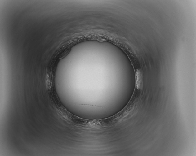 X0000115831491200911201455