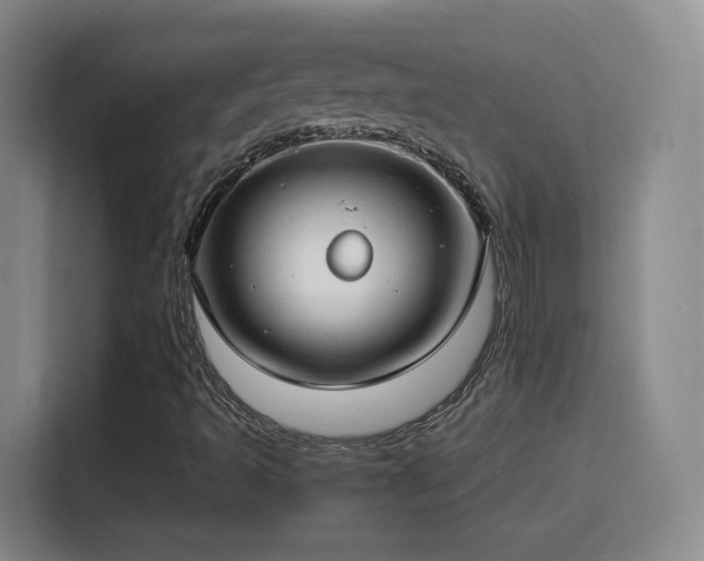 X0000115831493200911201455