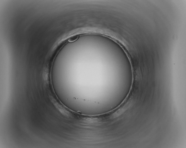 X0000115831499200911201455