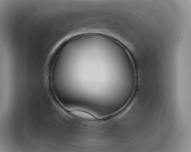 X0000115831502200911201455