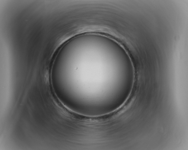 X0000115831505200911201455