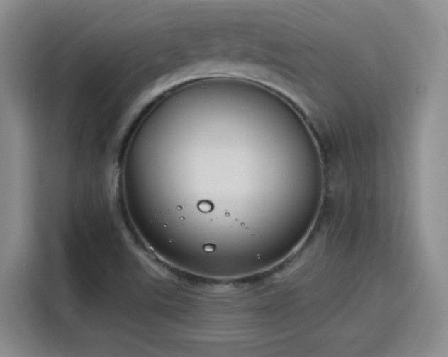 X0000115831507200911201455