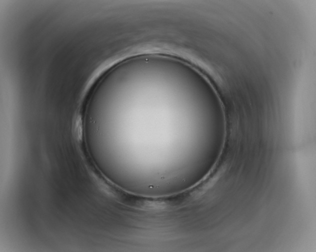 X0000115831509200911201455