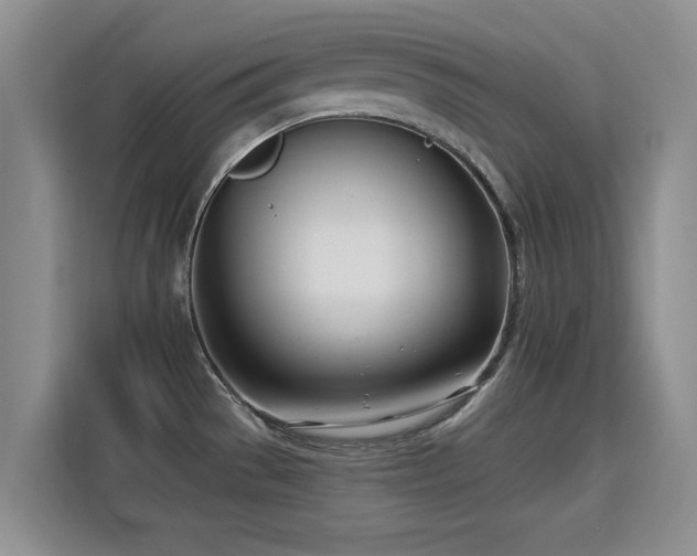 X0000115831529200911201455