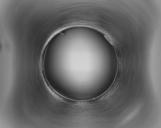 X0000115831531200911201455