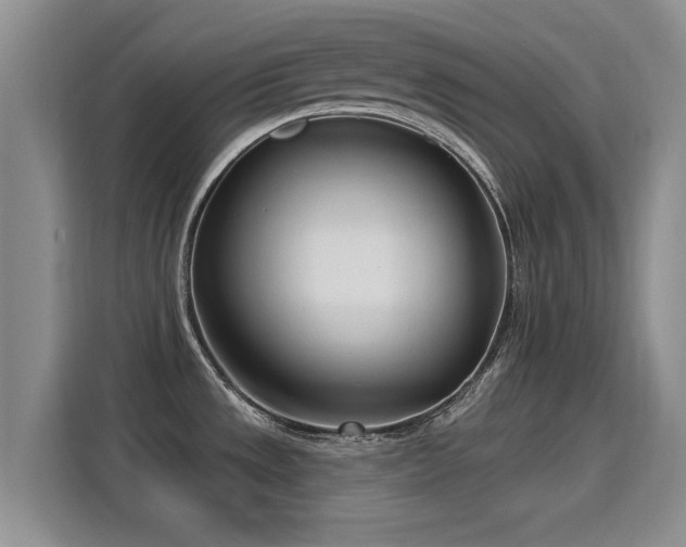 X0000115831533200911201455