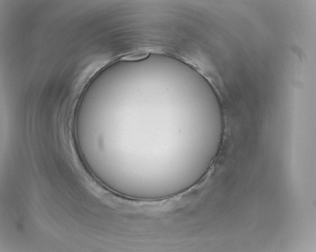 X0000115830001200911271209