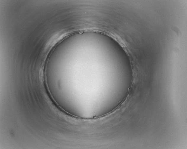 X0000115830002200911271209