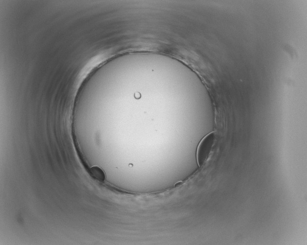 X0000115830003200911271209