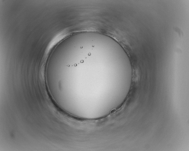 X0000115830004200911271209