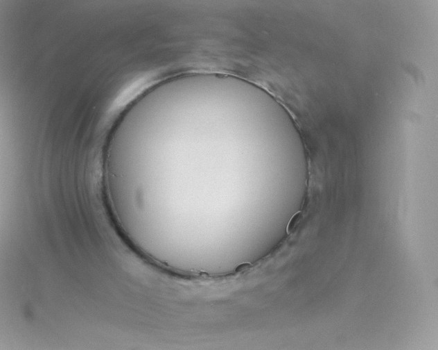 X0000115830005200911271209