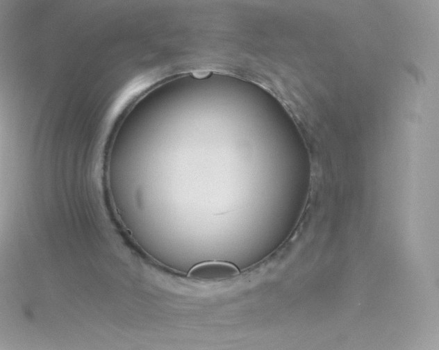 X0000115830006200911271209