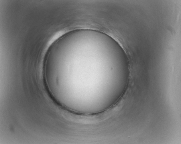 X0000115830008200911271209