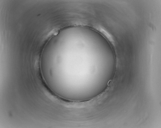 X0000115830009200911271209