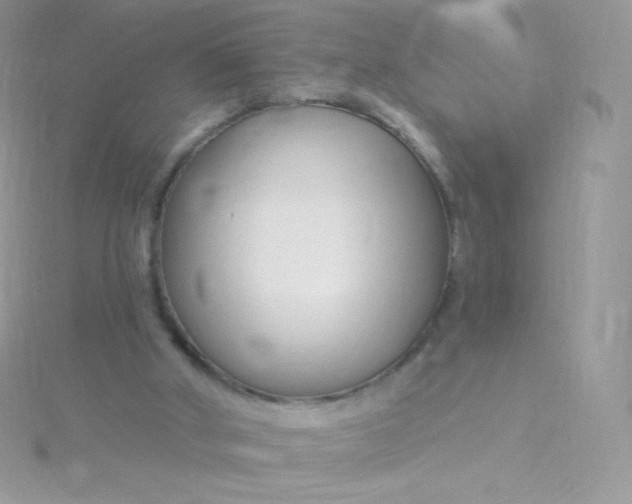 X0000115830010200911271209