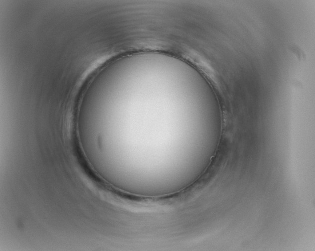 X0000115830012200911271209