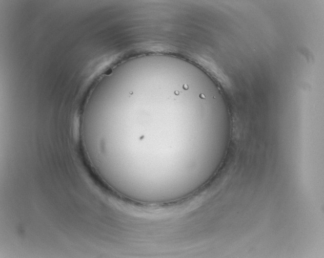 X0000115830014200911271209