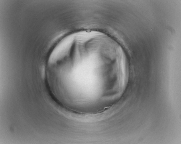 X0000115830019200911271209