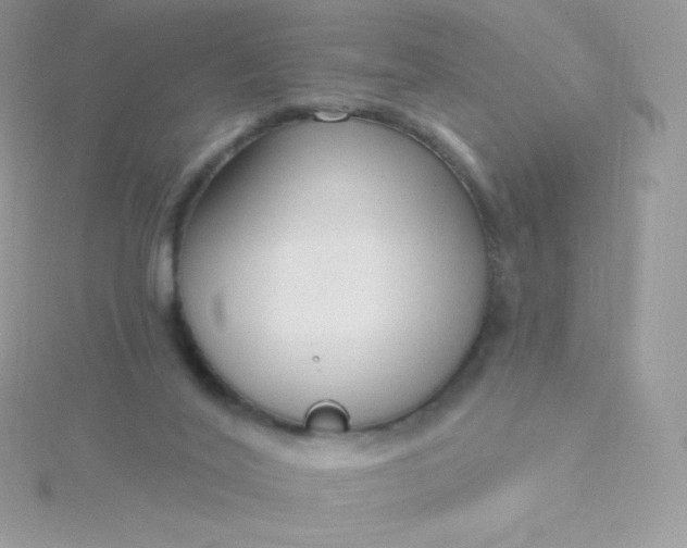 X0000115830020200911271209