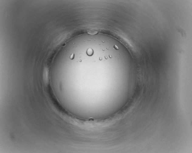 X0000115830022200911271209