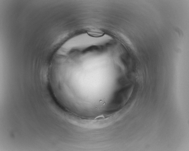 X0000115830023200911271209