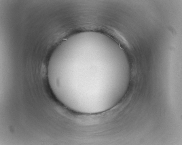 X0000115830025200911271208