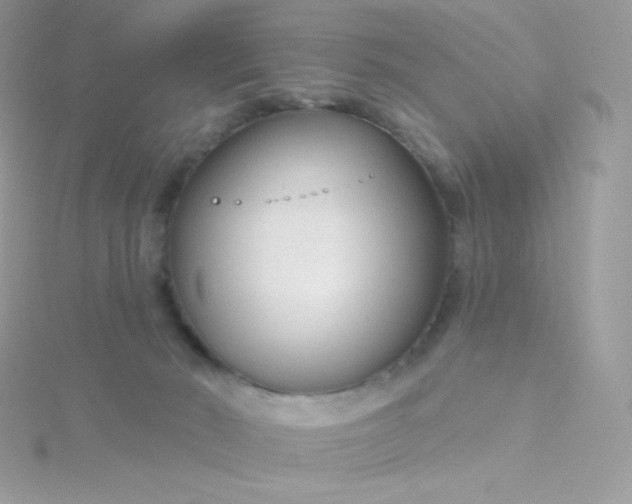 X0000115830030200911271208