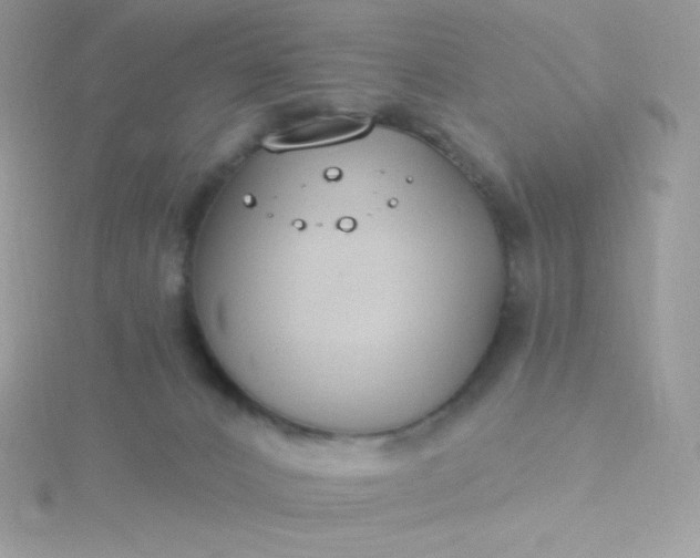 X0000115830032200911271208