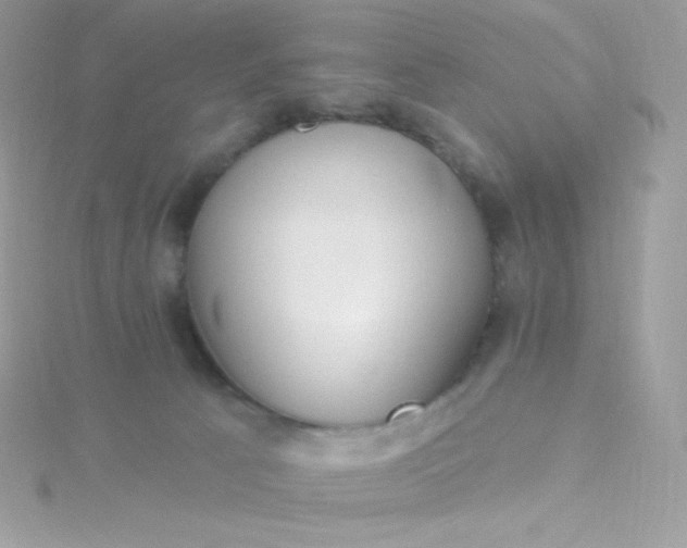 X0000115830033200911271208