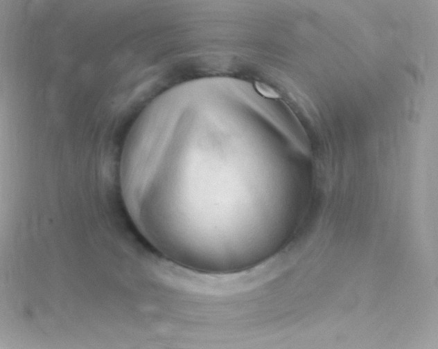 X0000115830035200911271208