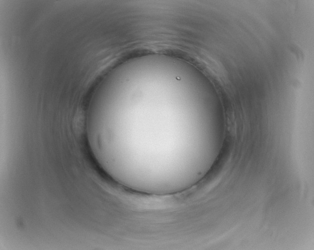 X0000115830036200911271208