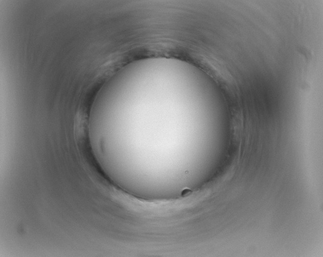 X0000115830038200911271208