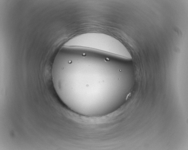 X0000115830043200911271208