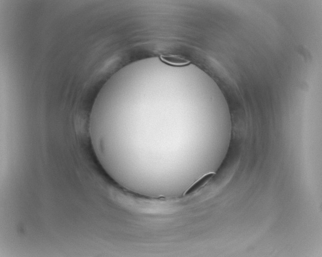 X0000115830044200911271208