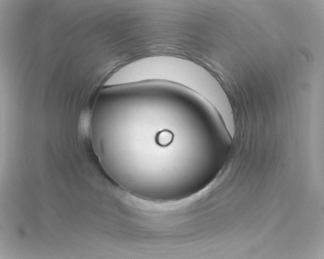 X0000115830047200911271208