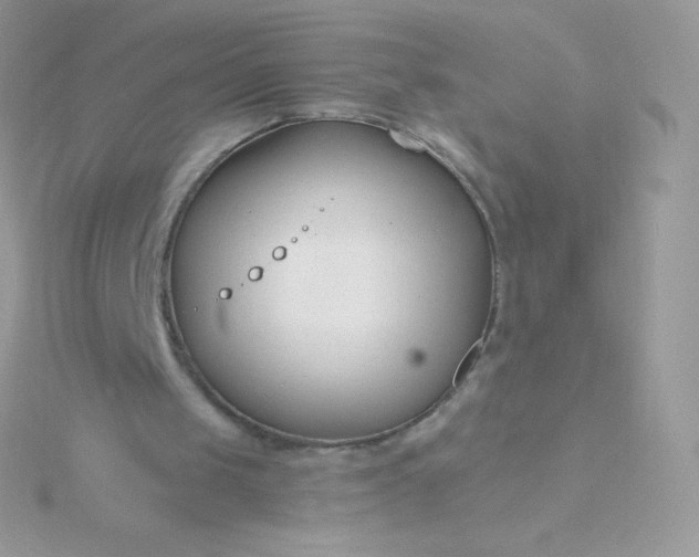 X0000115830049200911271207