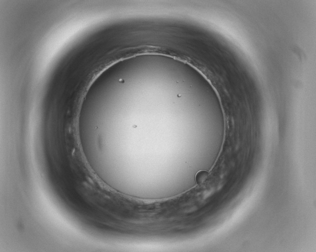 X0000115830050200911271207