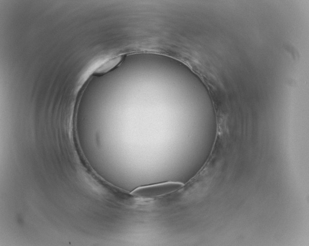 X0000115830052200911271207