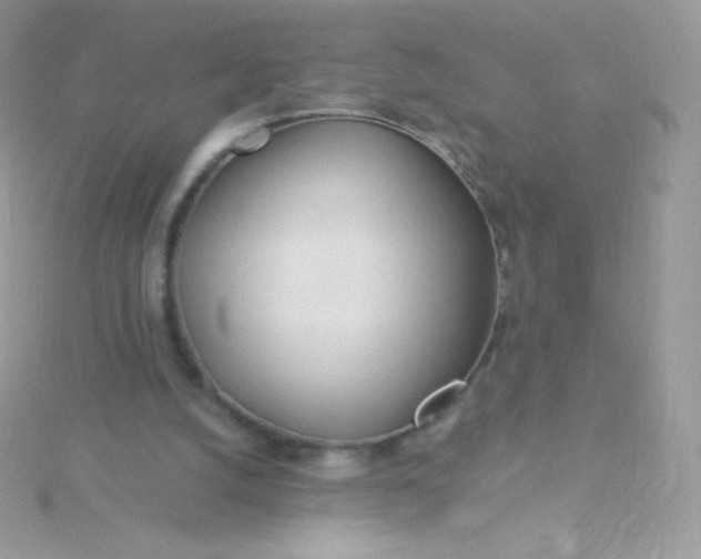 X0000115830056200911271207