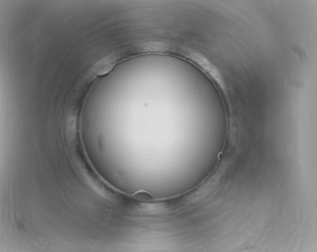 X0000115830057200911271207