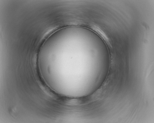 X0000115830058200911271208