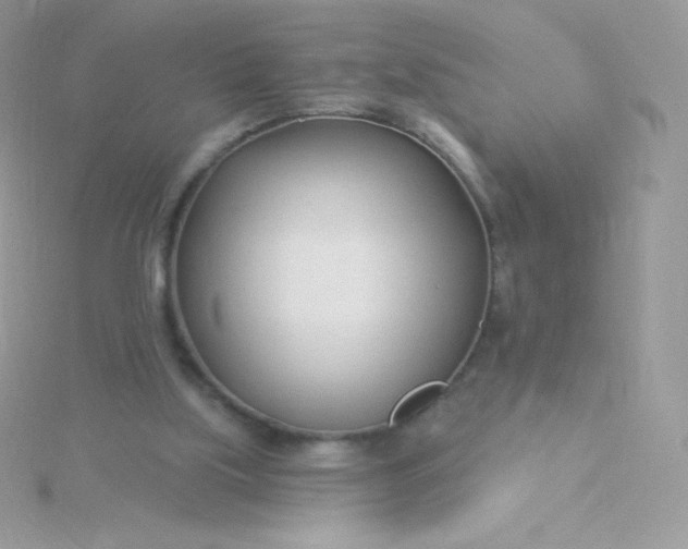 X0000115830059200911271208