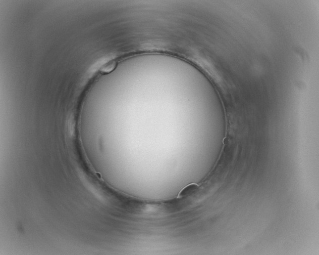 X0000115830060200911271208