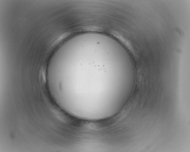 X0000115830062200911271208