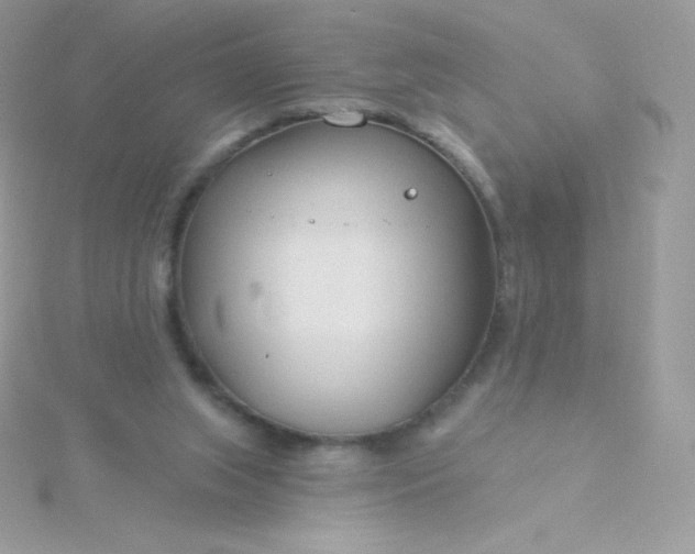 X0000115830063200911271208