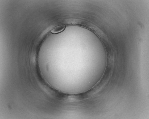 X0000115830064200911271208