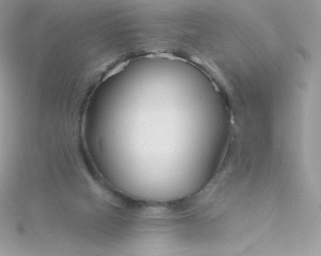 X0000115830066200911271208