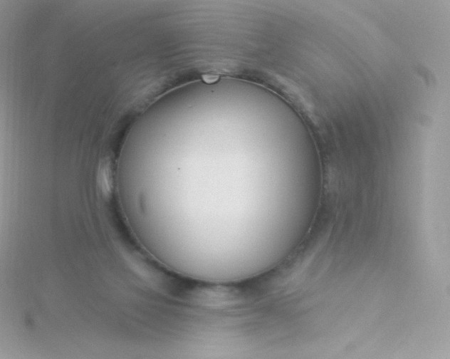 X0000115830069200911271208